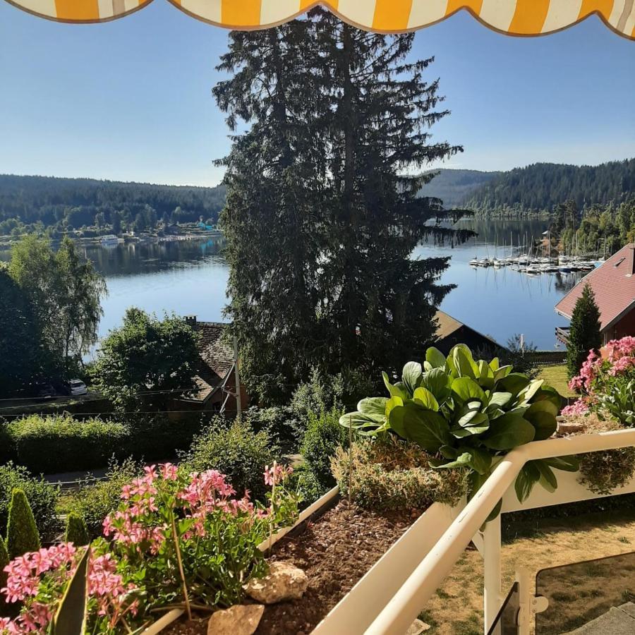 Sunside Ferien Wellness Oase Hotel Apartment'S Schwarzwald Am Schluchsee Exteriör bild